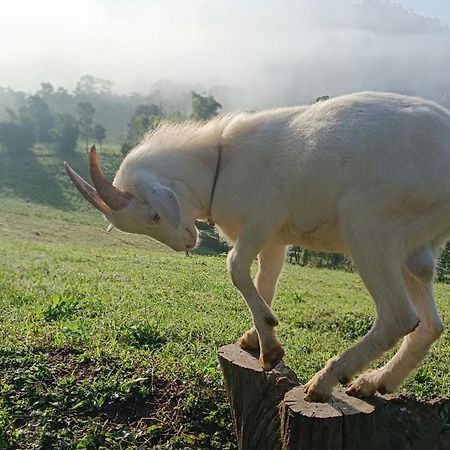 ไร่นิธิสุนทร Nithisoonthon Farmstay 湄宏颂 外观 照片