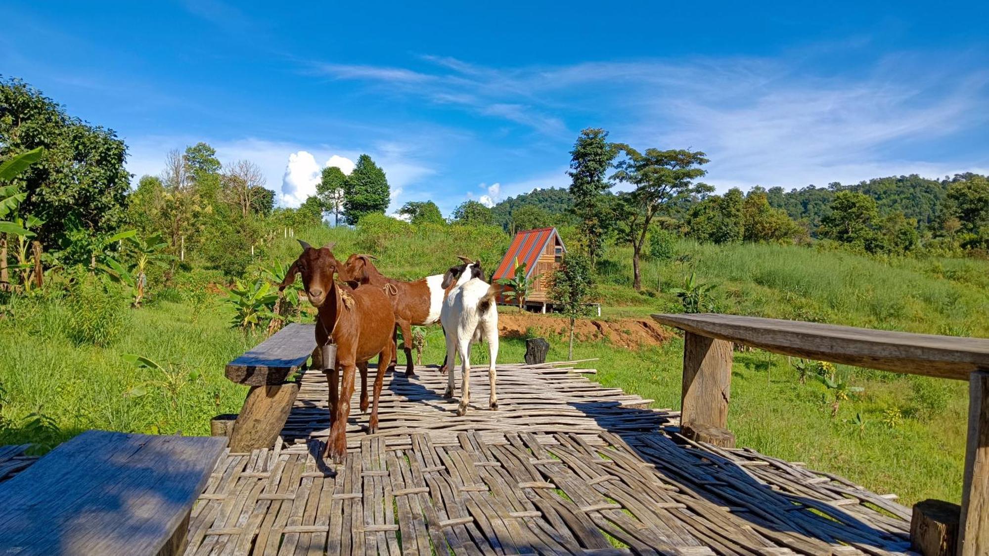 ไร่นิธิสุนทร Nithisoonthon Farmstay 湄宏颂 外观 照片