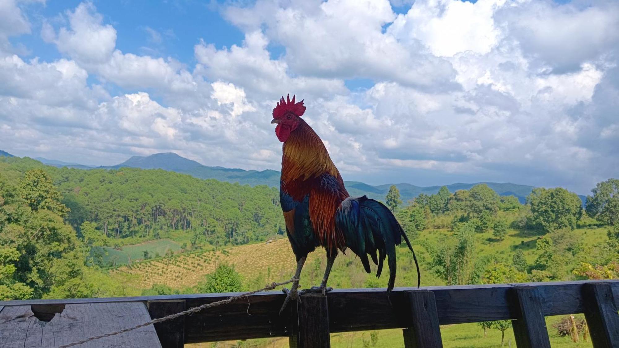 ไร่นิธิสุนทร Nithisoonthon Farmstay 湄宏颂 外观 照片